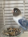 IMG_4676.jpeg