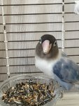 IMG_4678.jpeg