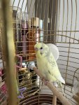 IMG_8523.jpeg