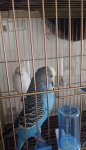 IMG_20260818_144141.jpg