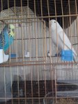 IMG_20260818_144328.jpg