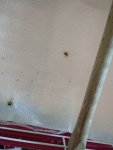 IMG_20260818_172834.jpg
