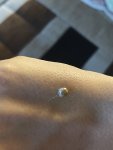 IMG_0566.jpeg