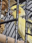 RUID0afea5c83a7d4c27be4d8251d6e960ce.jpg