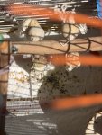 IMG_6341.jpeg