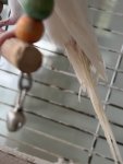 IMG_6342.jpeg