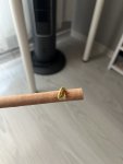 IMG_7881.jpeg