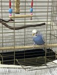 IMG_0488.jpeg
