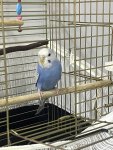 IMG_0489.jpeg
