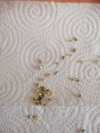 IMG_20260819_164258.jpg