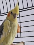 RUIDa737b9f4e37d443fb4646282fbc1e58a.jpg