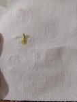 20260820_202826.jpg