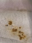 IMG_3866.jpeg