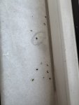 IMG_7982.jpeg