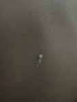IMG_0697.jpeg