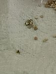 IMG_0699.jpeg