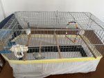IMG_2286.jpeg