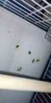IMG_20260824_015738_038.jpg