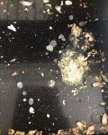 IMG_6753.jpeg