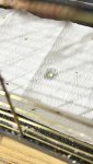 IMG_1295.jpeg
