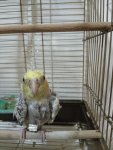 IMG_20260827_090742_420.jpg