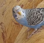 IMG_8760.jpeg