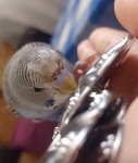 IMG_8761.jpeg