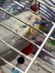IMG_3209.jpeg