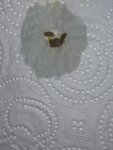 IMG_8068.jpeg