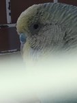 IMG_5528.jpeg
