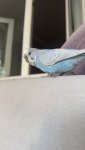 IMG_8049.jpeg
