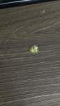 IMG_8047.jpeg