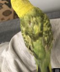 IMG_6855.jpeg