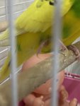 IMG_3764.jpeg