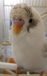 IMG_8695.jpeg