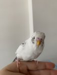 IMG_5166.jpeg