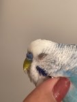 IMG_2627.jpeg