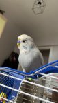 IMG_3354.jpeg