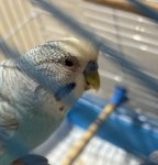 IMG_3864.jpeg