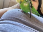 IMG_5451.jpeg