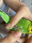 IMG_5472.jpeg