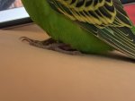 IMG_5469.jpeg