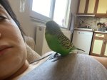IMG_5443.jpeg
