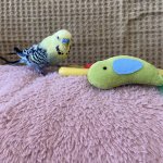 IMG_4242.jpeg