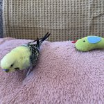 IMG_4240.jpeg