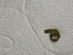 IMG_20260912_203353.jpg