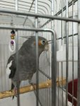 108336e6-df0d-4806-828c-5a03e584c7df.jpeg