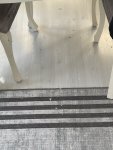 IMG_1129.jpeg