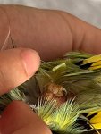 IMG_5077.jpeg