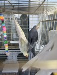 IMG_8775.jpeg